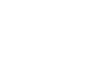 Evolution games at Flamingo Club Casino